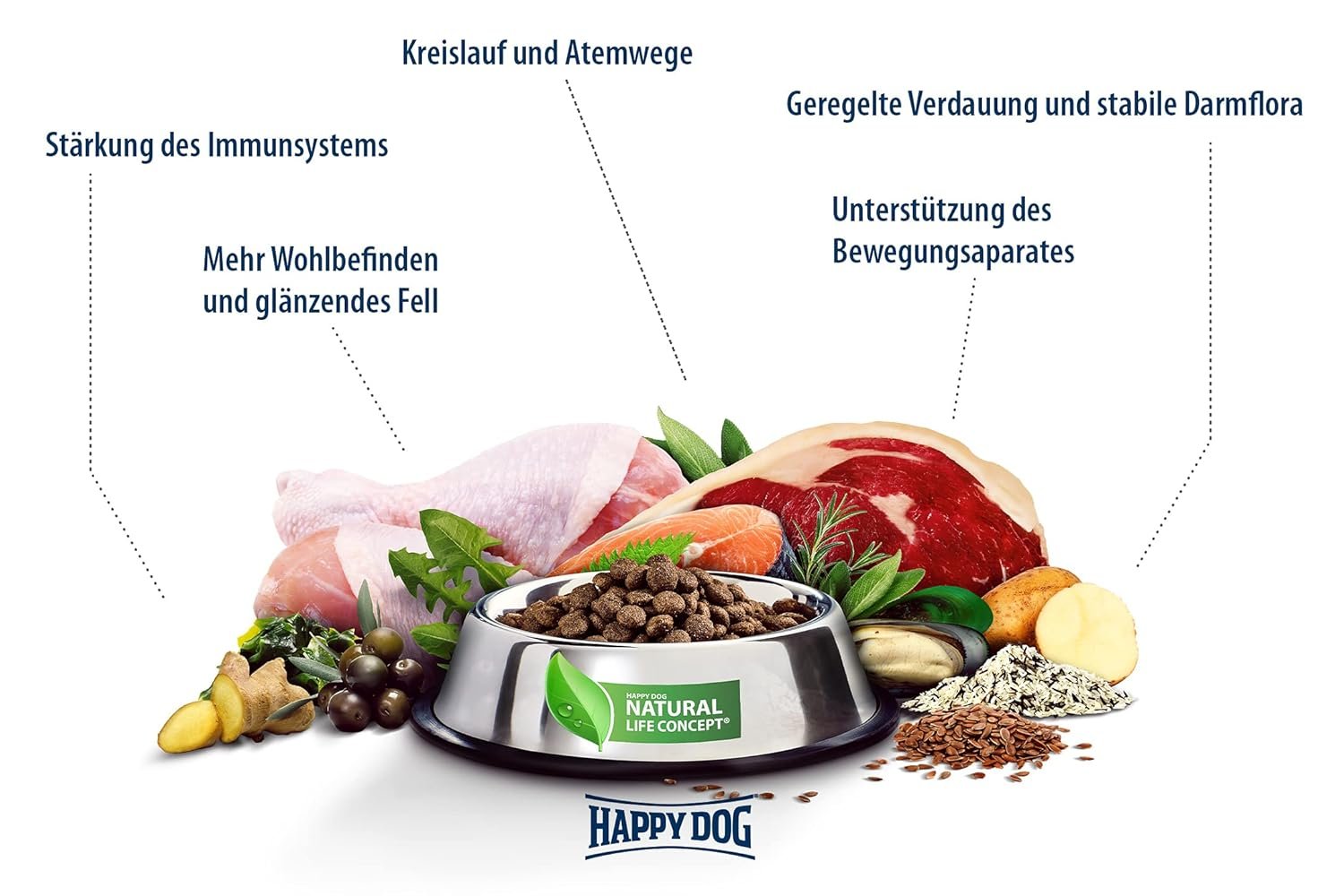 71QssshKL. SL1500 .jpg