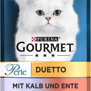 71 3Wvfw4QL. AC SL1500 .jpg