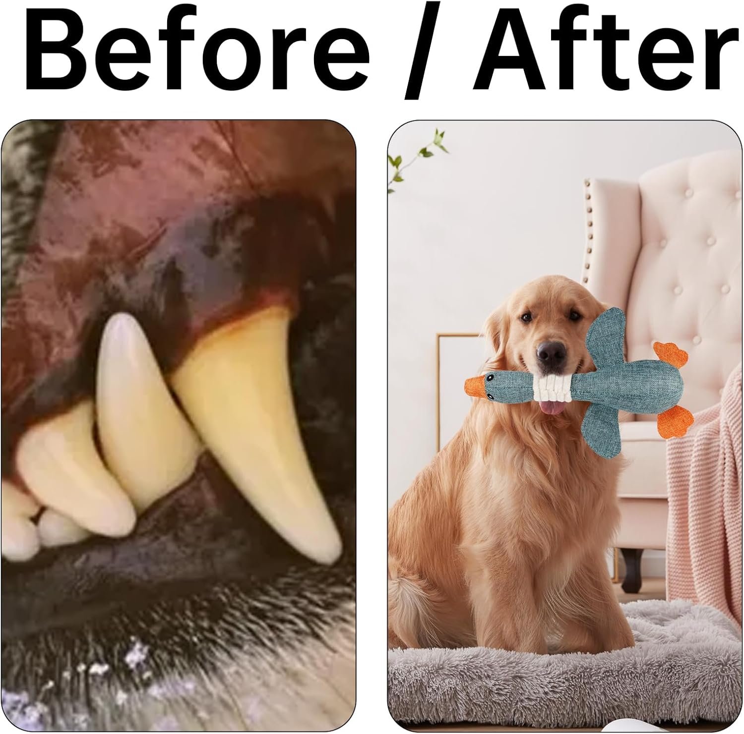 71 BHfqGCKL. AC SL1500 .jpg