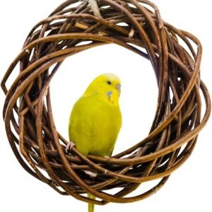 71 Bux57lcL. AC SL1500 .jpg