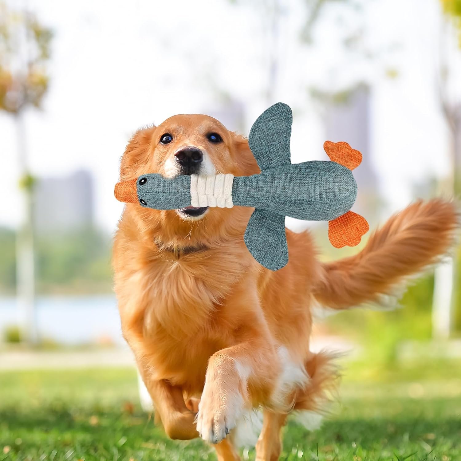 71 DEYvNYJL. AC SL1500 .jpg