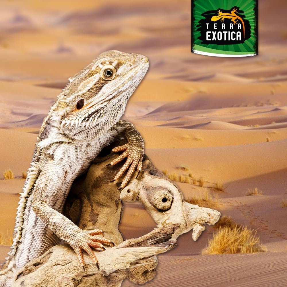 71 hkRZdPzL. AC SL1000 .jpg