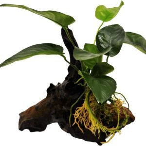 710GeIaQWbL. AC SL1500 .jpg