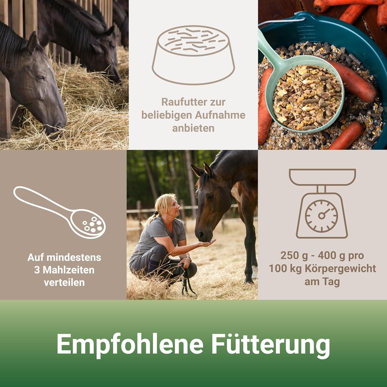 711bzzlsjTL. AC SL1500 .jpg