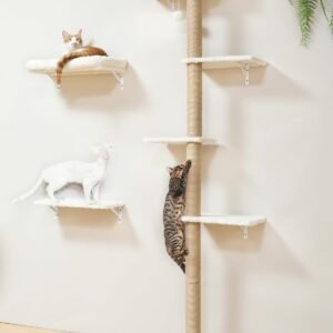 712KDo i3BL. AC SL1500 .jpg