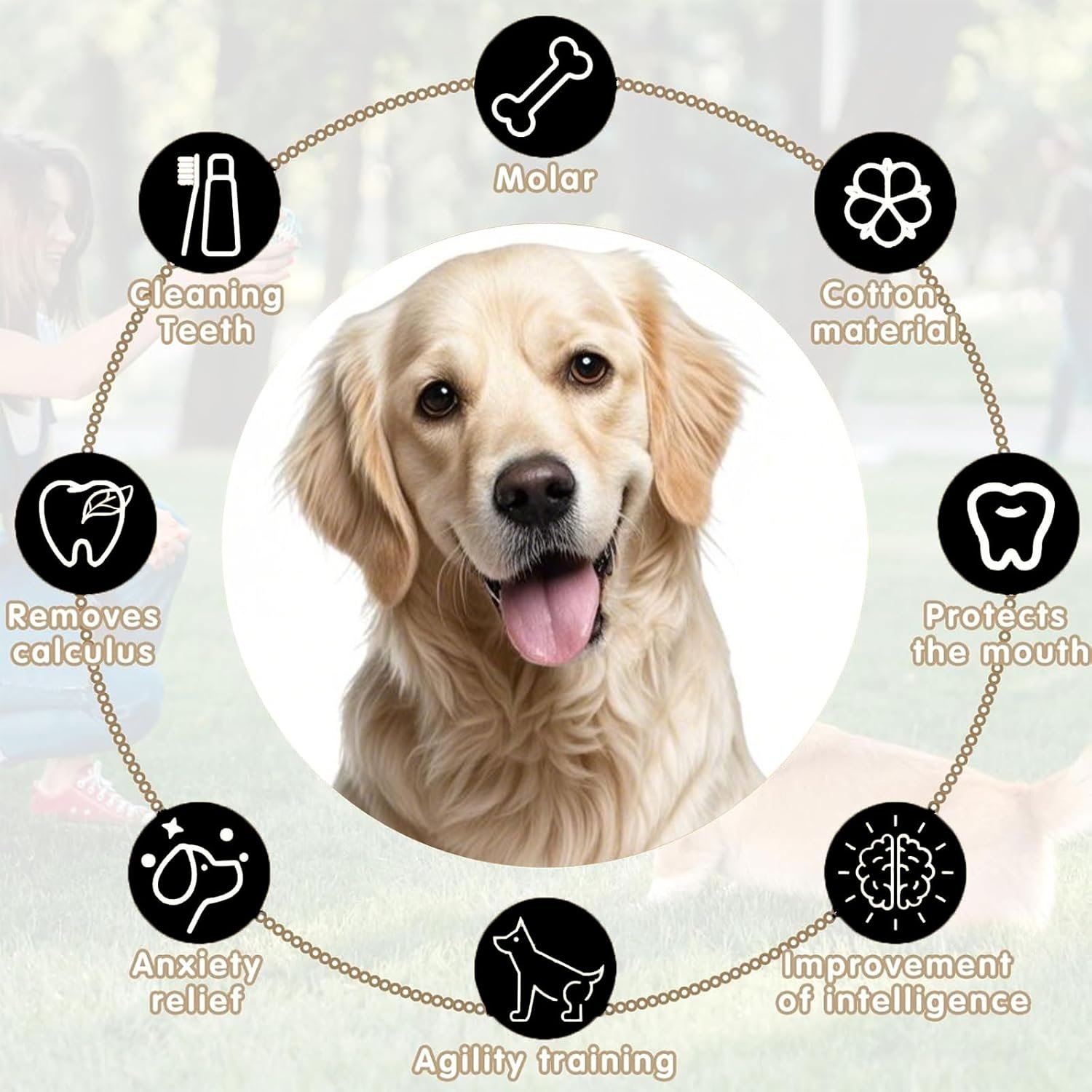 712Kwi8qBGL. AC SL1500 .jpg