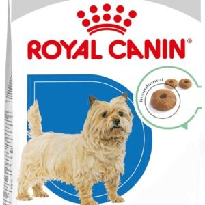 712qqBRwB1L. AC SL1500 .jpg