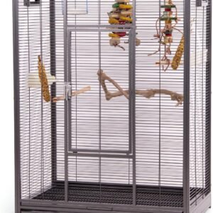 713PeZtnBtL. AC SL1280 .jpg