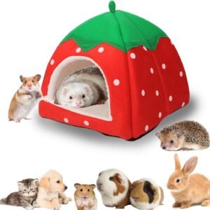 713Xm5OCgyL. AC SL1500 .jpg