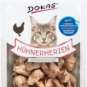 713xlsNoYxL. AC SL1500 .jpg