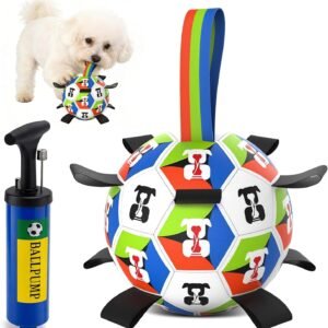 71457TuOBKL. AC SL1500 .jpg