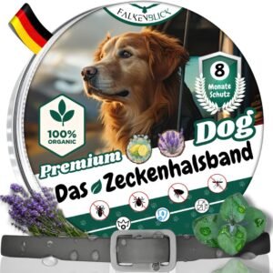 714I3U7ii1L. AC SL1080 .jpg