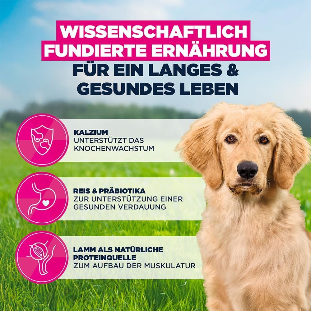 714wBAxd58L. AC SL1000 .jpg