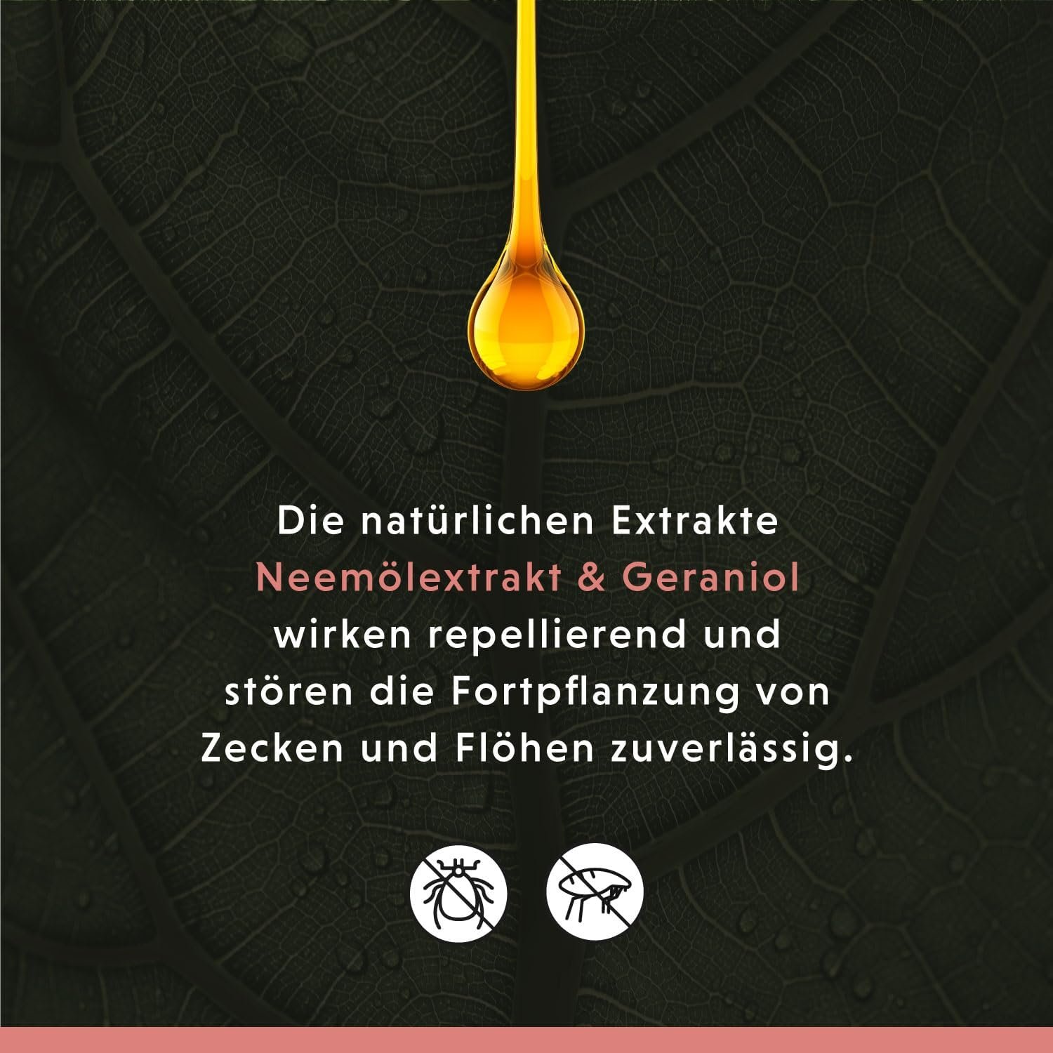 7152ru1zKzL. AC SL1500 .jpg