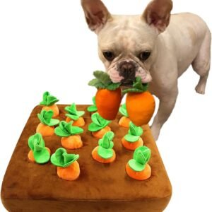 715BWiHUAJL. AC SL1500 .jpg