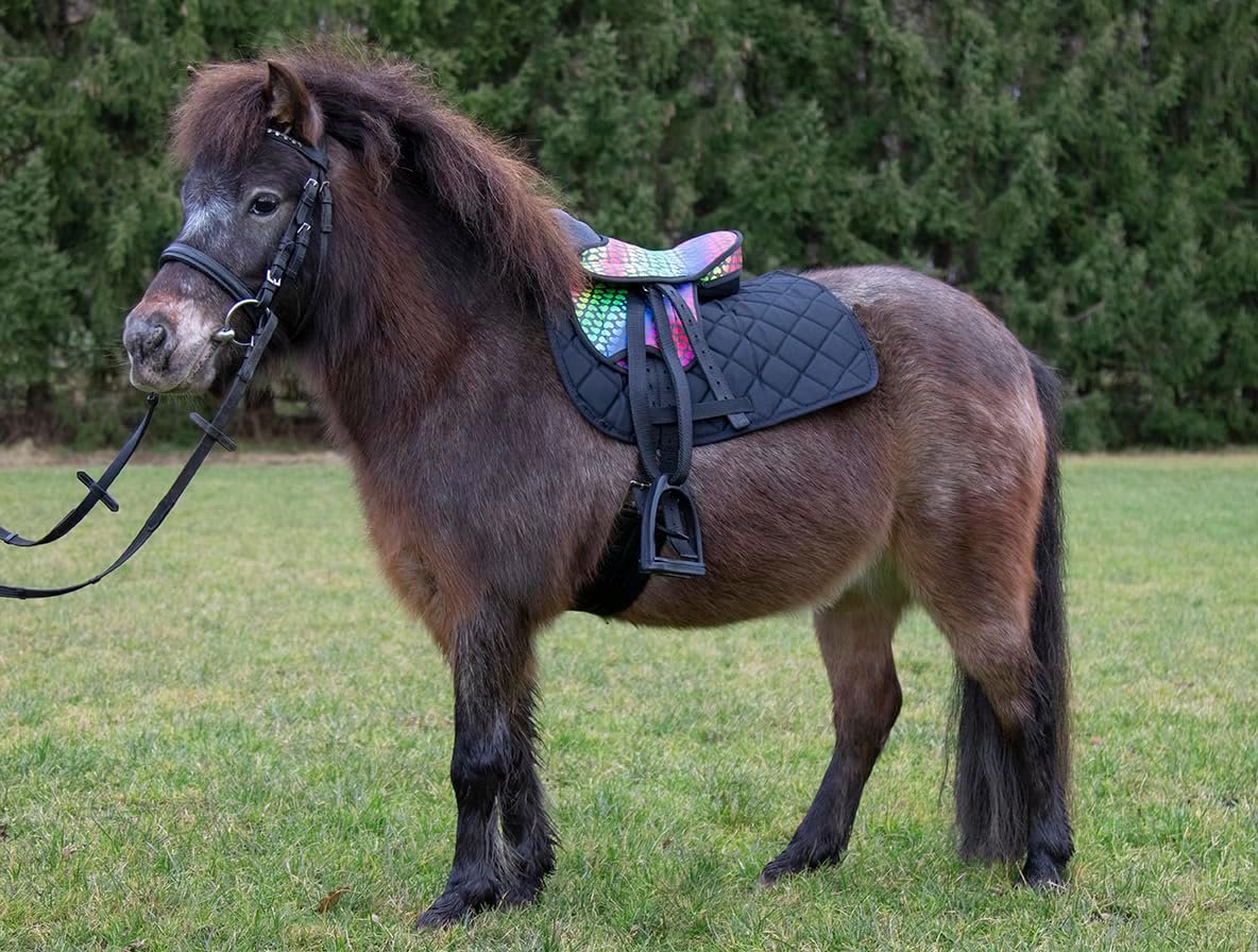 715BYj PmL. AC SL1184 .jpg