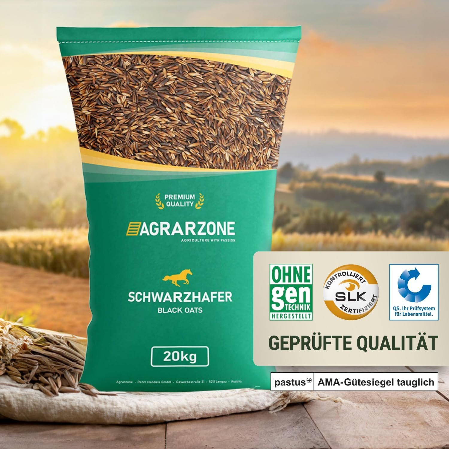 715LjpxDZbL. AC SL1500 .jpg