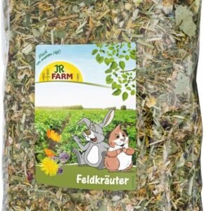 715YrVdqz5L. AC SL1280 .jpg