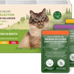 715q7r7ja9L. AC SL1500 .jpg