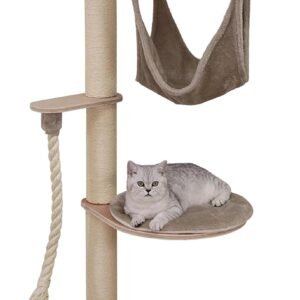 716CiHRIufL. AC SL1500 .jpg