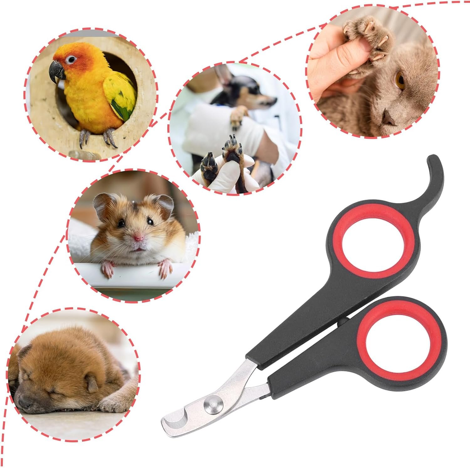 716ZgdTVsGL. AC SL1500 .jpg