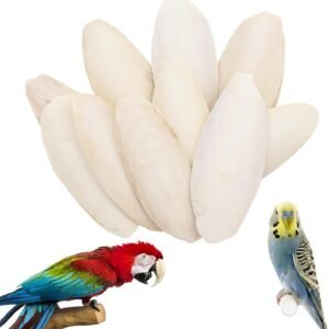 716tji2T8EL. AC SL1500 .jpg