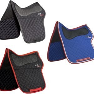 717FiesLMJL. AC SL1000 .jpg