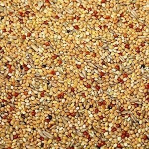 717XofbPZ9L. AC .jpg