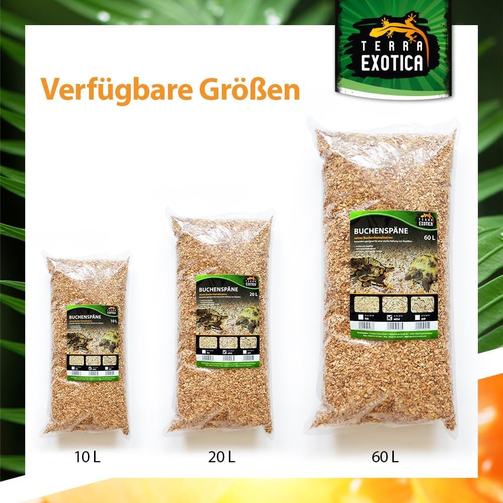 717cGp5L. AC SL1000 .jpg