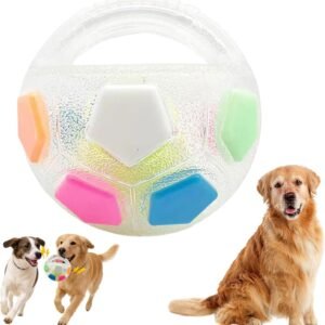 717sCFCMJaL. AC SL1500 .jpg