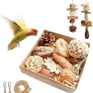 7181jXI5tTL. AC SL1500 .jpg