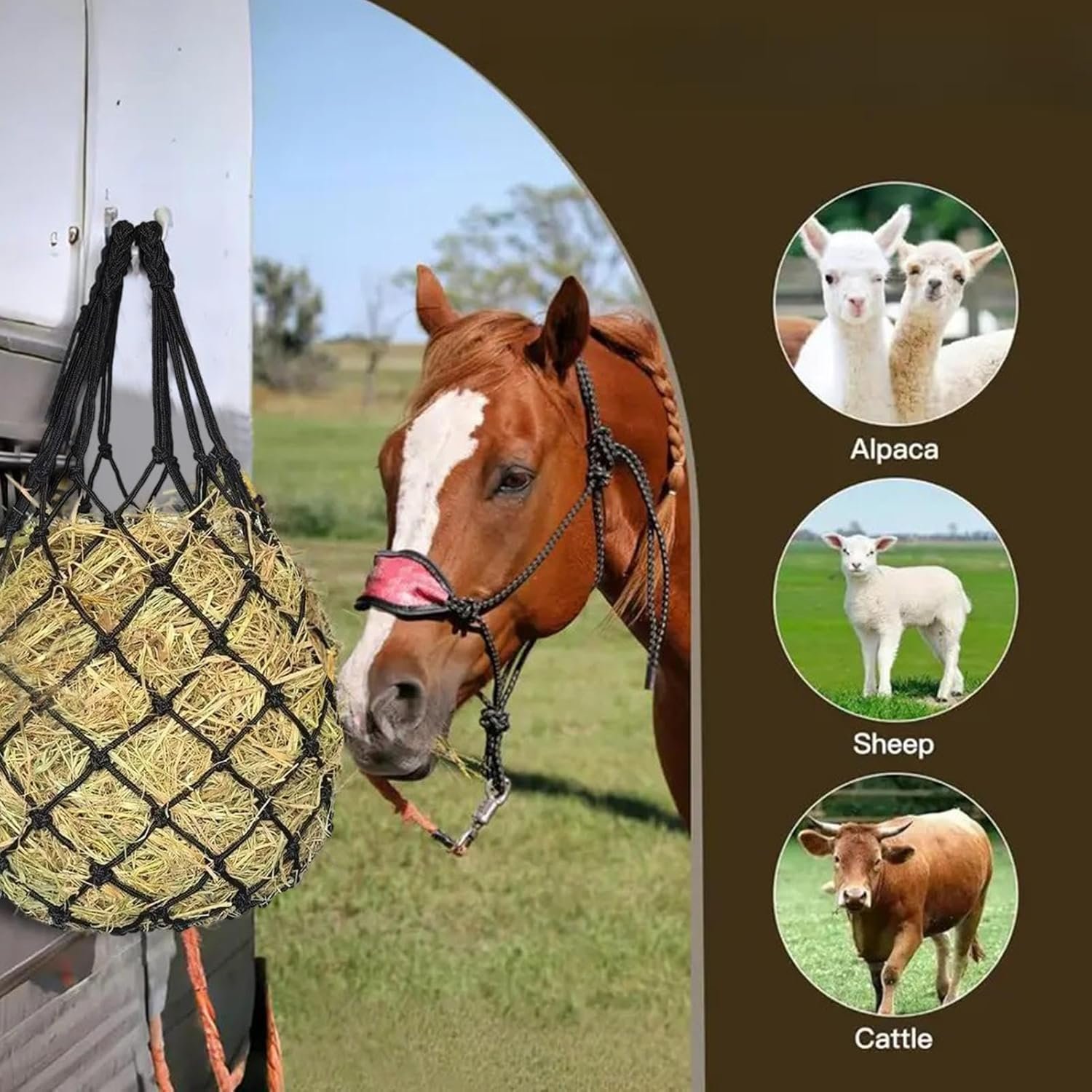 718v0fOWYFL. AC SL1500 .jpg