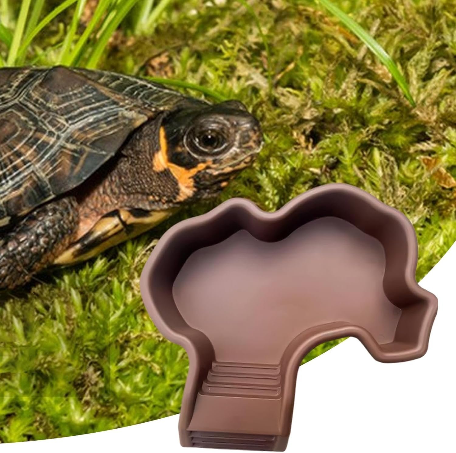 7192roCtcPL. AC SL1500 .jpg