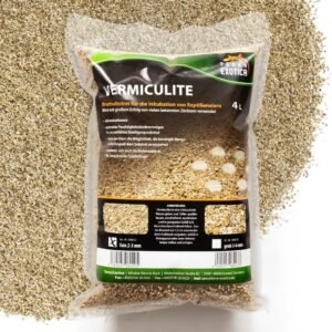 719a5pNfAqL. AC SL1000 .jpg