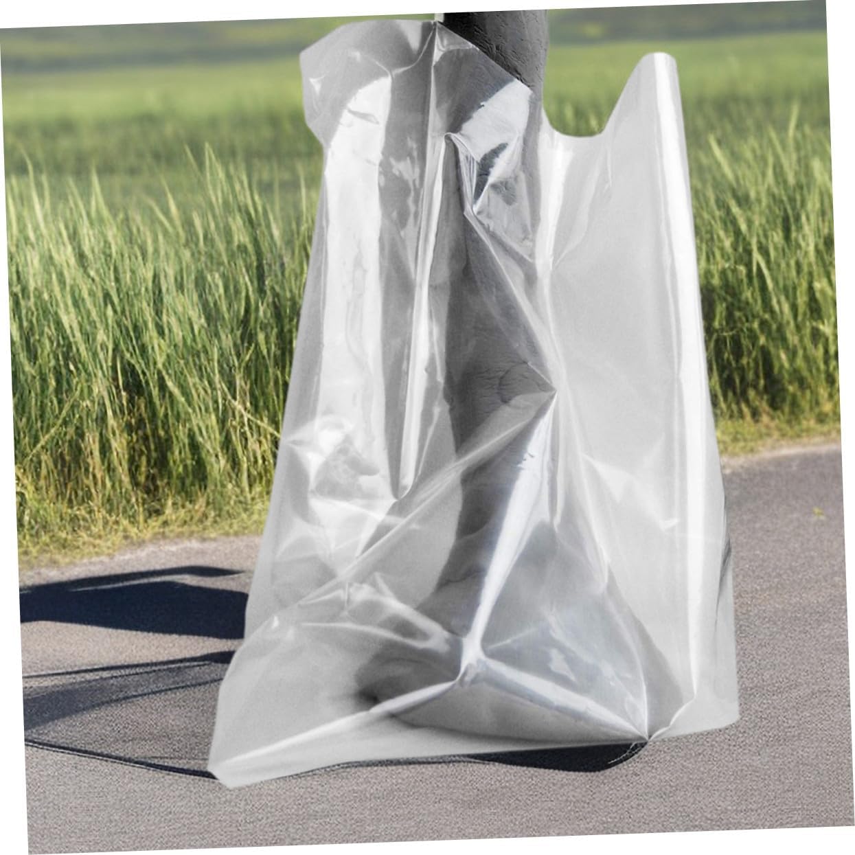 71A6eCofyCL. AC SL1245 .jpg