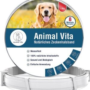 71AWrIShSTL. AC SL1500 .jpg