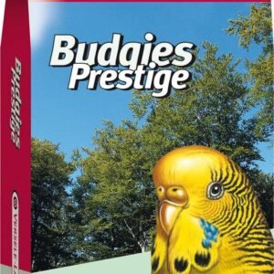 71AY38x7uzL. AC SL1280 .jpg