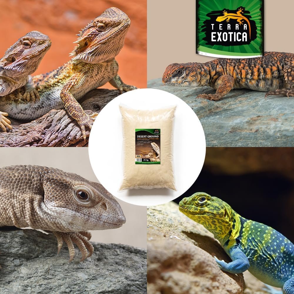 71AkixBbxRL. AC SL1000 .jpg