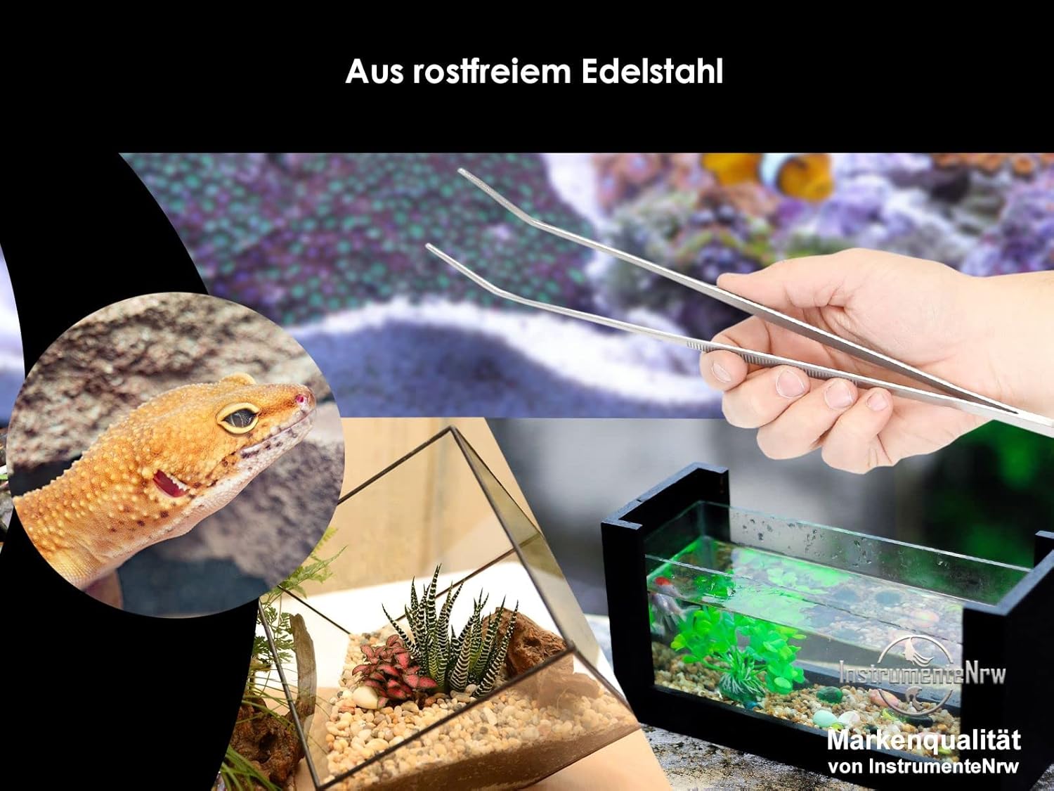 71Am6 GFvxL. AC SL1500 .jpg