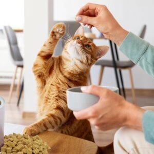 71ApCF0BCFL. AC SL1500 .jpg