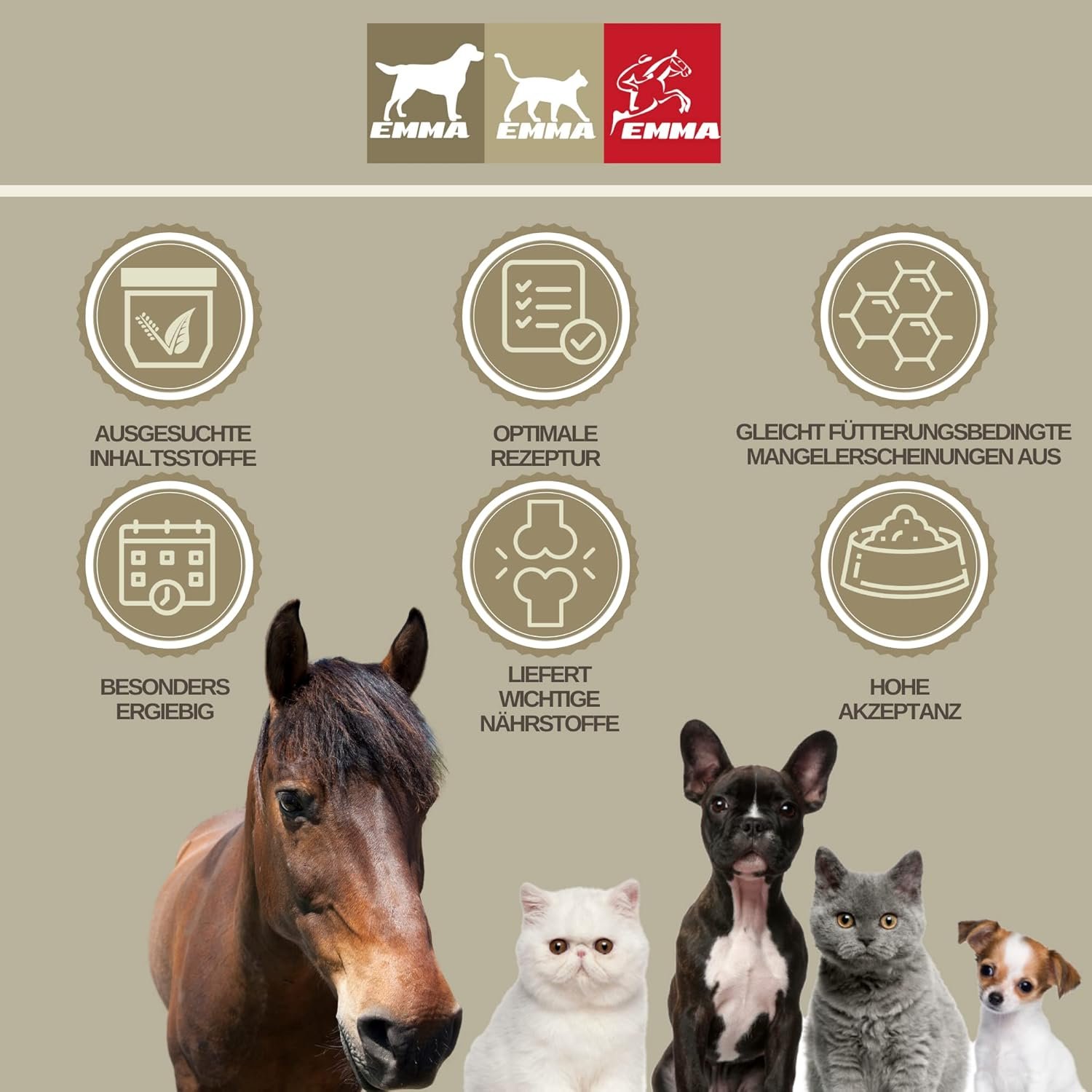 71Au6Js5egL. AC SL1500 .jpg