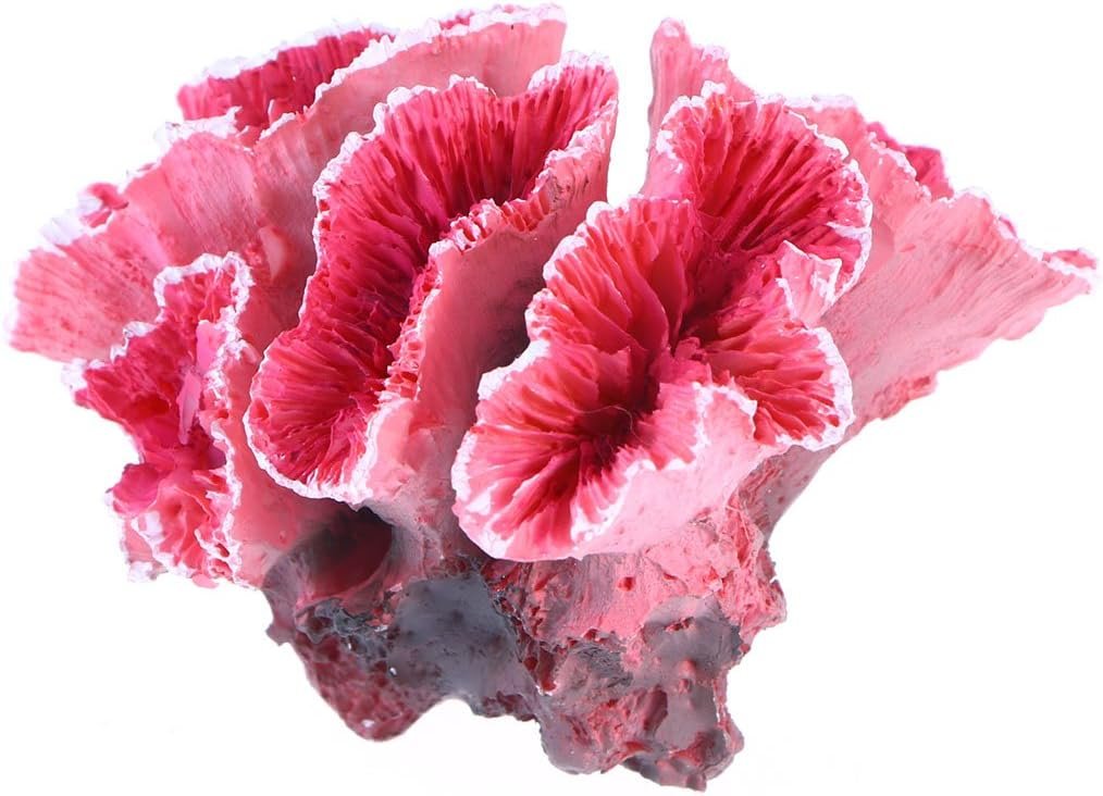 71B1O4rGXdL. AC SL1200 .jpg