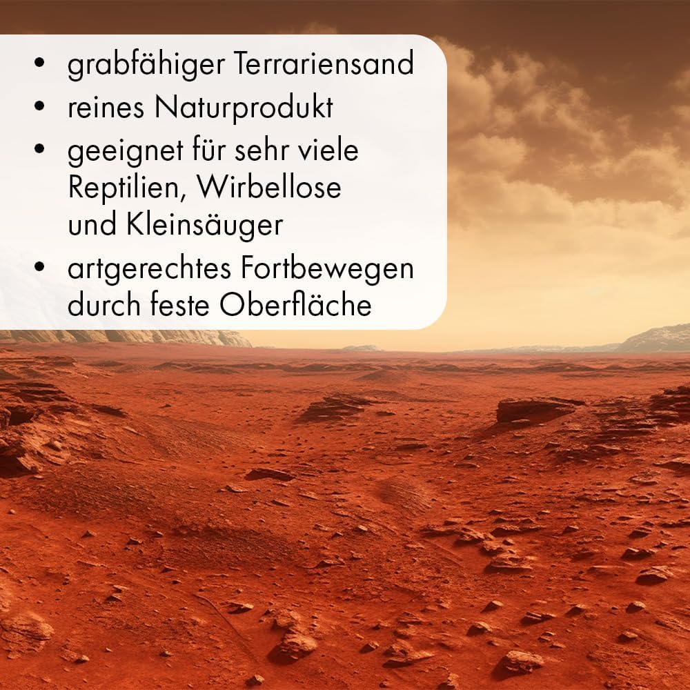 71B8BsND7JL. AC SL1000 .jpg