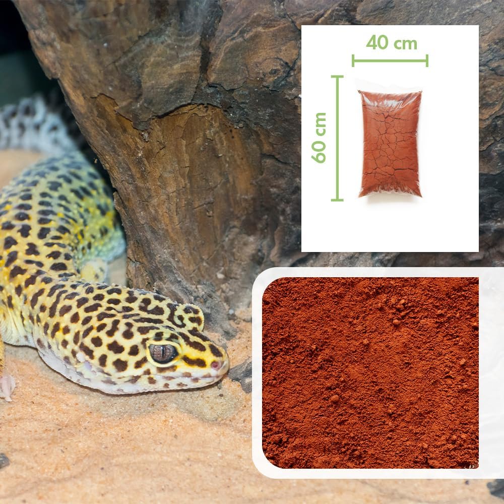 71BBWF e9wL. AC SL1000 .jpg