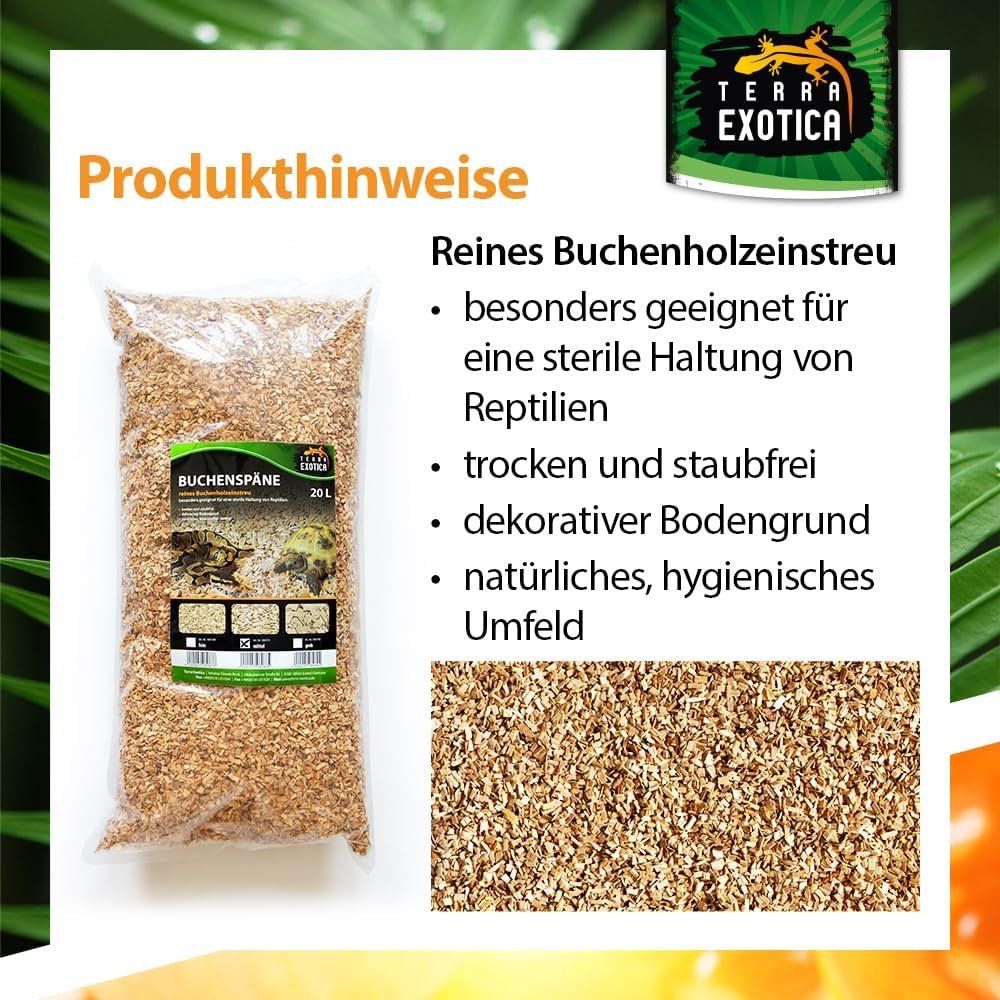 71BiiNpOSCL. AC SL1000 .jpg