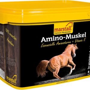 71BuCwhOomL. AC SL1500 .jpg