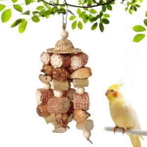 71C8Ayst2ML. AC SL1500 .jpg