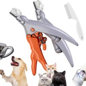 71CgKV m6dL. AC SL1500 .jpg