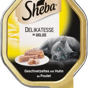 71CjFR23tL. AC SL1000 .jpg