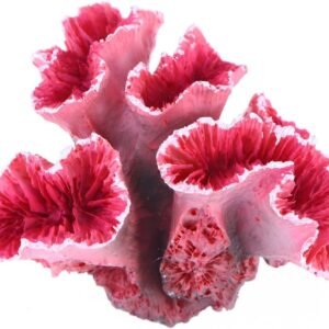 71D3Ks5ys3L. AC SL1200 .jpg